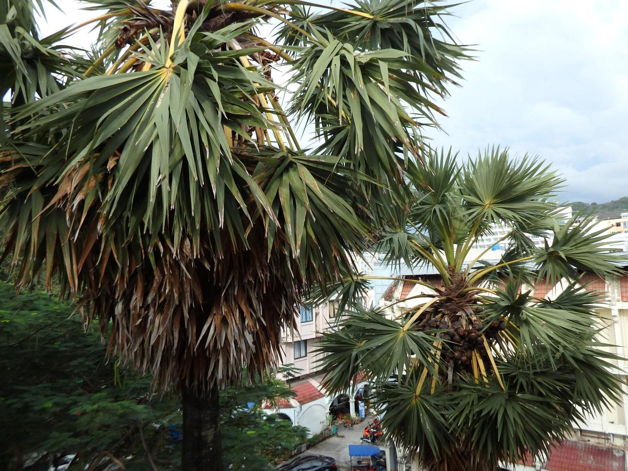Boomerang Inn Phuket Esterno foto